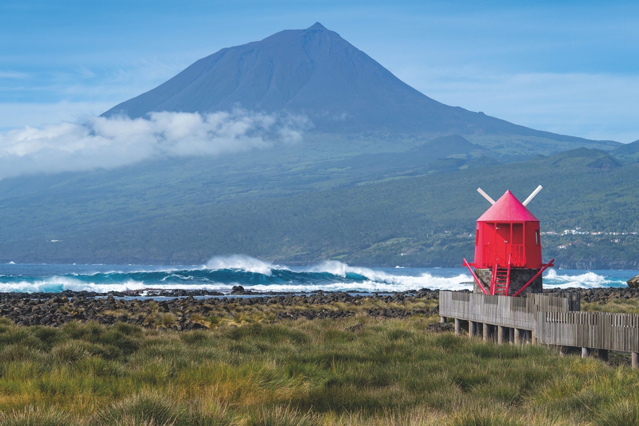 Pico