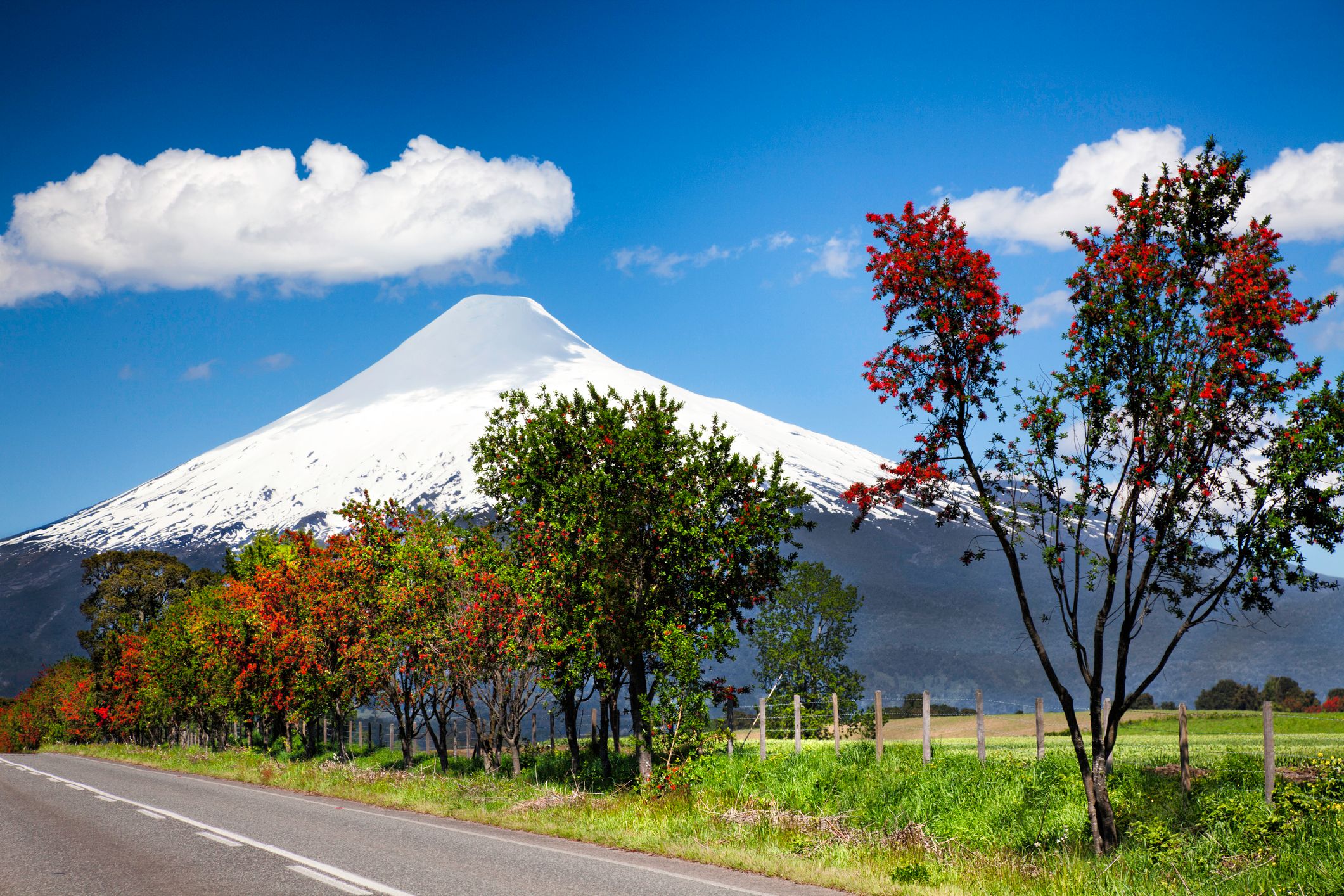 Puerto Montt