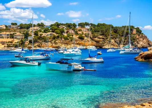 Maiorca